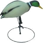Goose